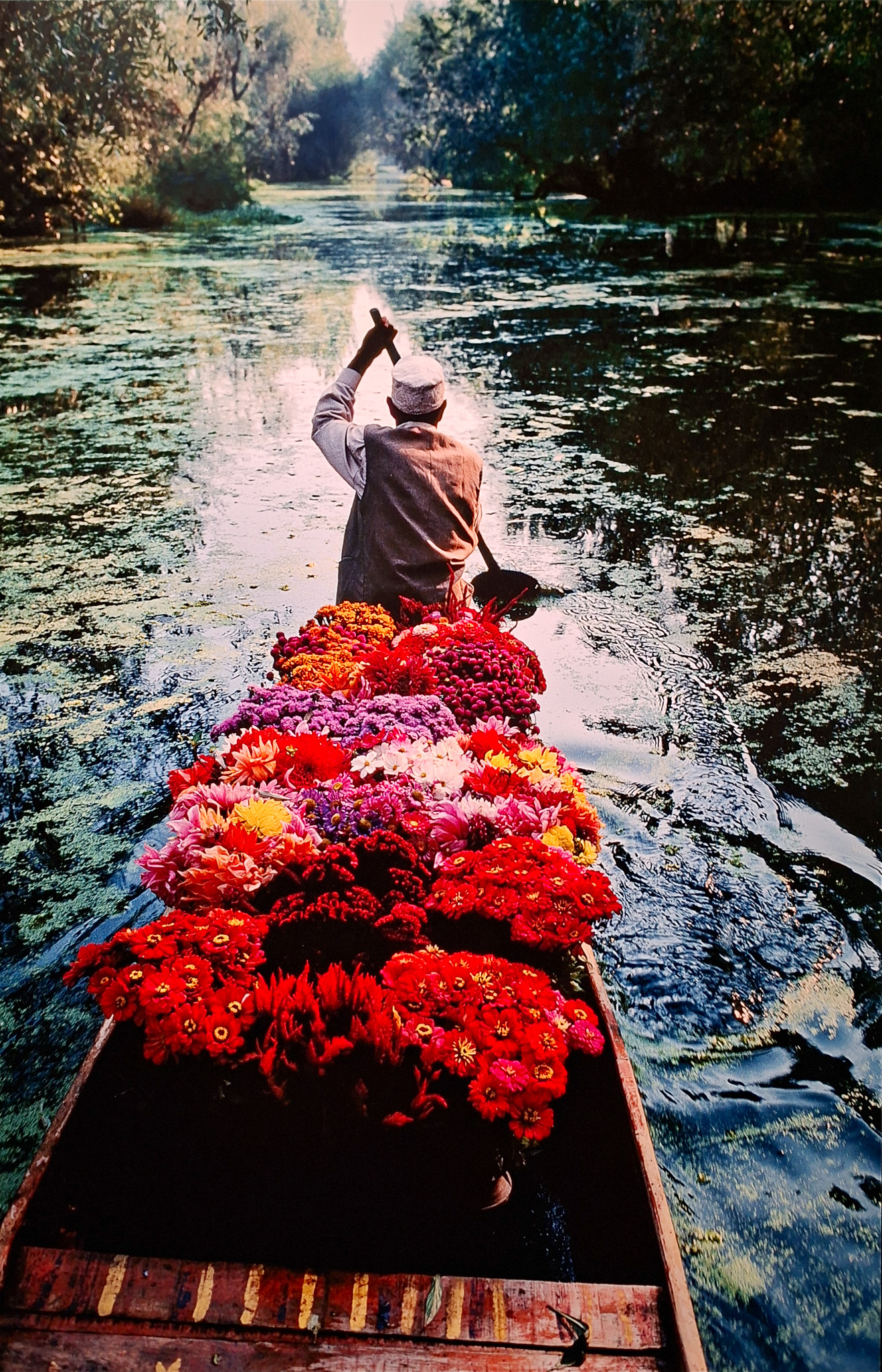 Móvil 20260613 Steve McCurry 72